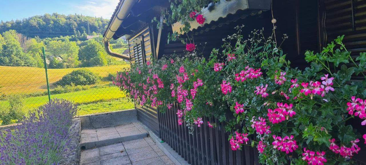 Amb Village Point Dob 外观 照片